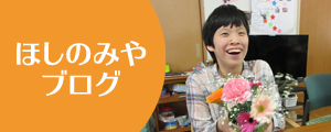 ほしのみやブログ